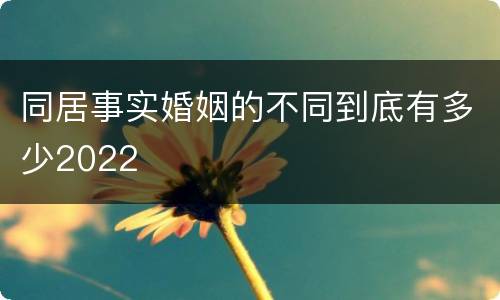同居事实婚姻的不同到底有多少2022