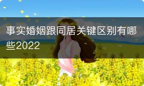 事实婚姻跟同居关键区别有哪些2022