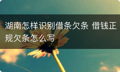 湖南怎样识别借条欠条 借钱正规欠条怎么写