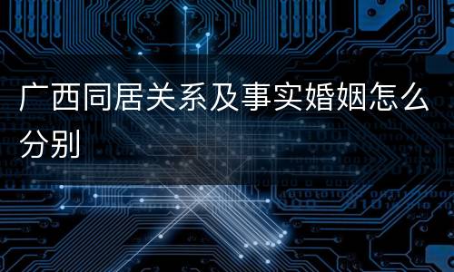 广西同居关系及事实婚姻怎么分别