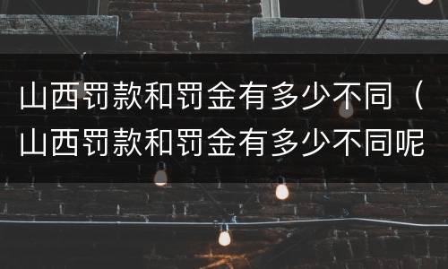 山西罚款和罚金有多少不同（山西罚款和罚金有多少不同呢）
