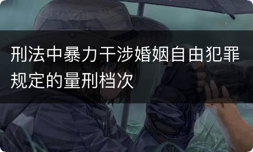 刑法中暴力干涉婚姻自由犯罪规定的量刑档次