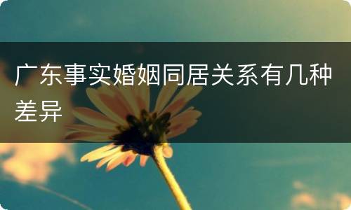 广东事实婚姻同居关系有几种差异