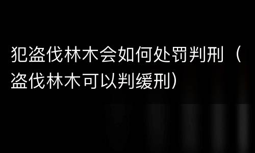 犯盗伐林木会如何处罚判刑（盗伐林木可以判缓刑）