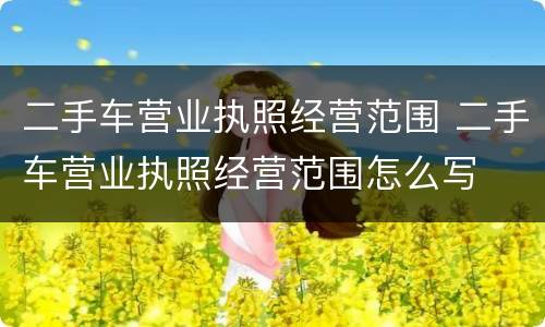 二手车营业执照经营范围 二手车营业执照经营范围怎么写