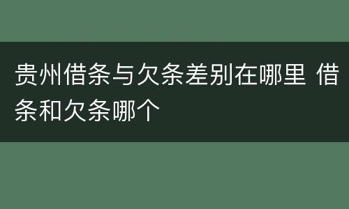 贵州借条与欠条差别在哪里 借条和欠条哪个