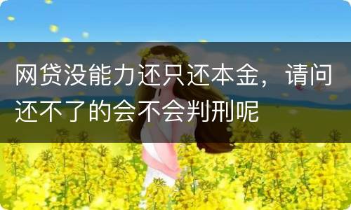 网贷没能力还只还本金，请问还不了的会不会判刑呢