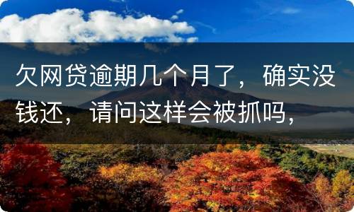 欠网贷逾期几个月了，确实没钱还，请问这样会被抓吗，