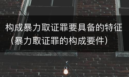 构成暴力取证罪要具备的特征（暴力取证罪的构成要件）