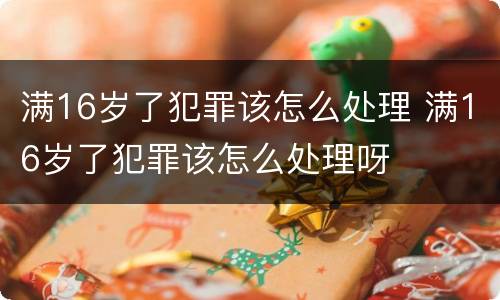 满16岁了犯罪该怎么处理 满16岁了犯罪该怎么处理呀