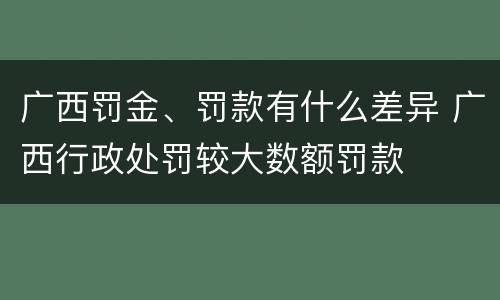 广西罚金、罚款有什么差异 广西行政处罚较大数额罚款