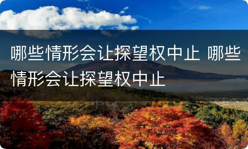 哪些情形会让探望权中止 哪些情形会让探望权中止