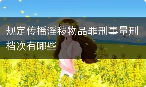 规定传播淫秽物品罪刑事量刑档次有哪些