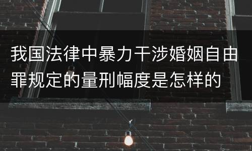 我国法律中暴力干涉婚姻自由罪规定的量刑幅度是怎样的