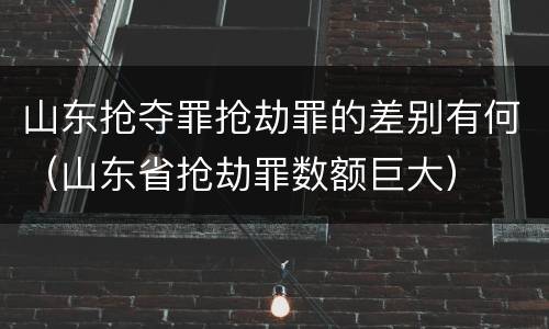 山东抢夺罪抢劫罪的差别有何（山东省抢劫罪数额巨大）