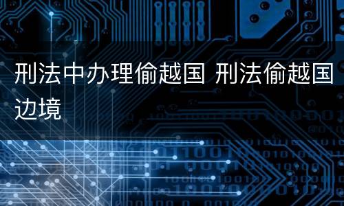 刑法中办理偷越国 刑法偷越国边境
