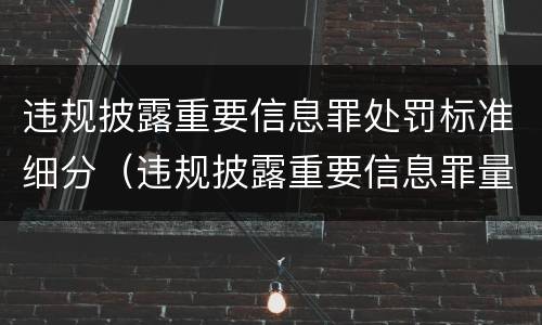 违规披露重要信息罪处罚标准细分（违规披露重要信息罪量刑）