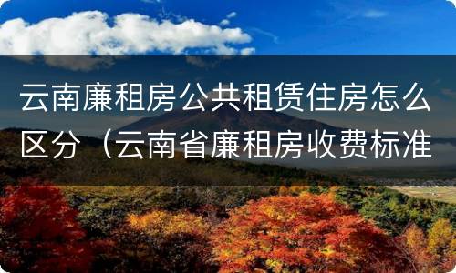 云南廉租房公共租赁住房怎么区分（云南省廉租房收费标准）