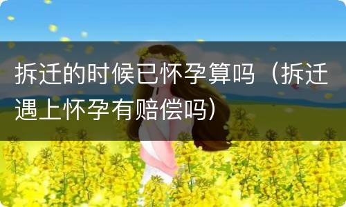 拆迁的时候已怀孕算吗（拆迁遇上怀孕有赔偿吗）
