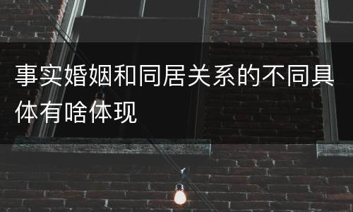 事实婚姻和同居关系的不同具体有啥体现