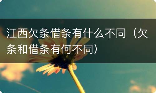 江西欠条借条有什么不同（欠条和借条有何不同）