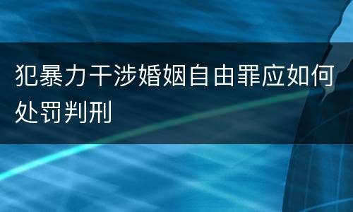 犯暴力干涉婚姻自由罪应如何处罚判刑
