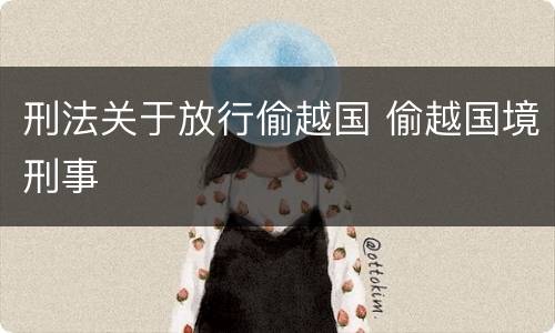 刑法关于放行偷越国 偷越国境刑事