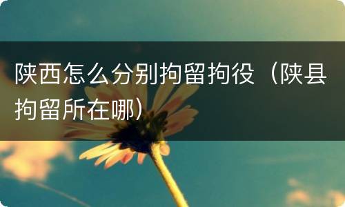 陕西怎么分别拘留拘役（陕县拘留所在哪）