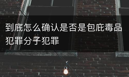 到底怎么确认是否是包庇毒品犯罪分子犯罪