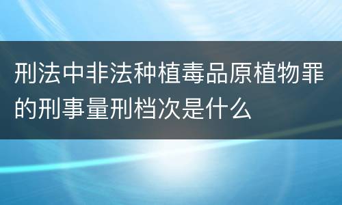 刑法中非法种植毒品原植物罪的刑事量刑档次是什么