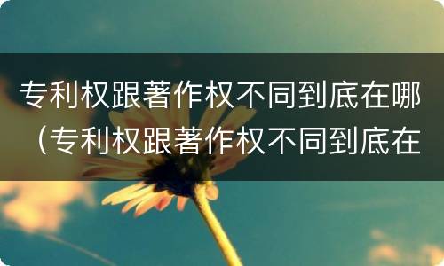 专利权跟著作权不同到底在哪（专利权跟著作权不同到底在哪查）