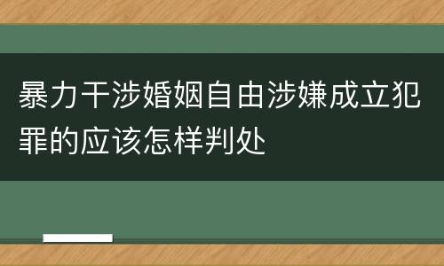 暴力干涉婚姻自由涉嫌成立犯罪的应该怎样判处