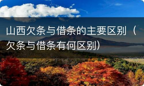 山西欠条与借条的主要区别（欠条与借条有何区别）