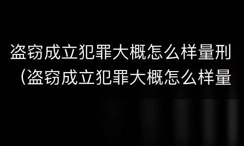 盗窃成立犯罪大概怎么样量刑（盗窃成立犯罪大概怎么样量刑的）
