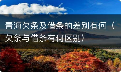 青海欠条及借条的差别有何（欠条与借条有何区别）