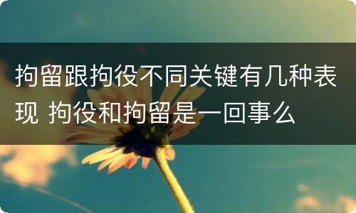 拘留跟拘役不同关键有几种表现 拘役和拘留是一回事么