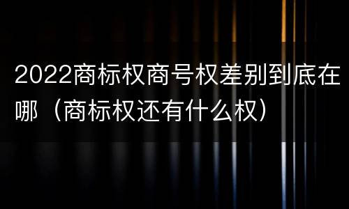2022商标权商号权差别到底在哪（商标权还有什么权）
