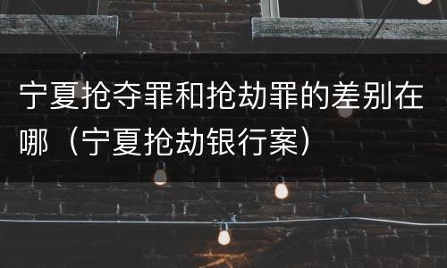 宁夏抢夺罪和抢劫罪的差别在哪（宁夏抢劫银行案）