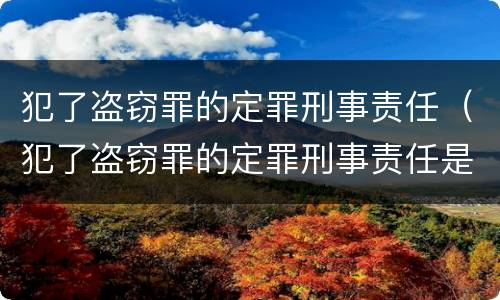 犯了盗窃罪的定罪刑事责任（犯了盗窃罪的定罪刑事责任是什么）