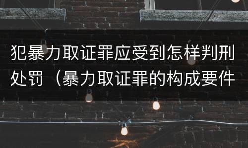 犯暴力取证罪应受到怎样判刑处罚（暴力取证罪的构成要件）