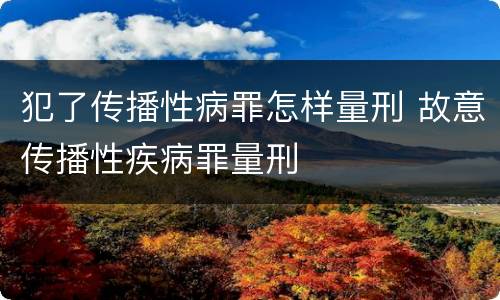 犯了传播性病罪怎样量刑 故意传播性疾病罪量刑