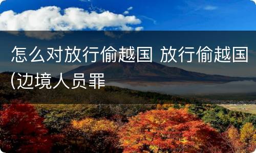 怎么对放行偷越国 放行偷越国(边境人员罪