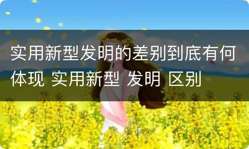 实用新型发明的差别到底有何体现 实用新型 发明 区别