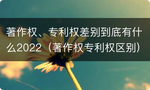 著作权、专利权差别到底有什么2022（著作权专利权区别）