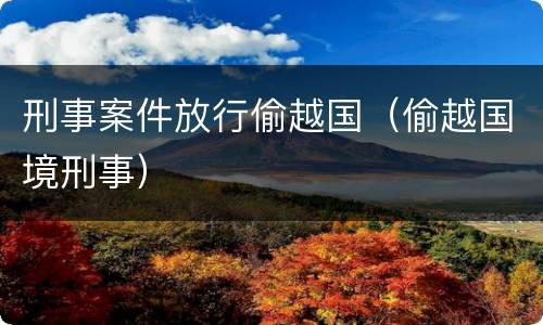 刑事案件放行偷越国（偷越国境刑事）