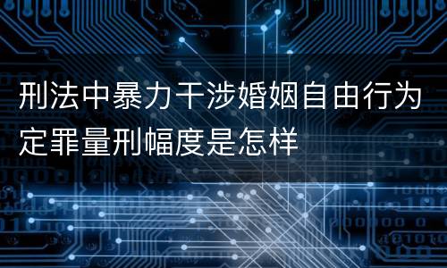 刑法中暴力干涉婚姻自由行为定罪量刑幅度是怎样