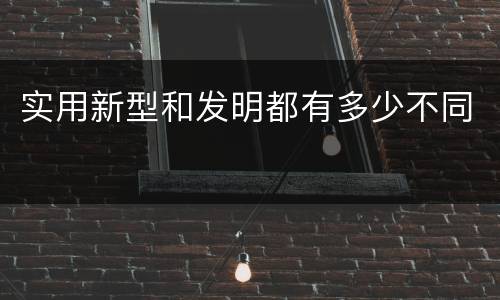 实用新型和发明都有多少不同