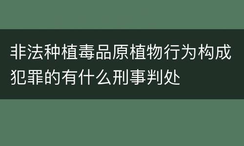 非法种植毒品原植物行为构成犯罪的有什么刑事判处