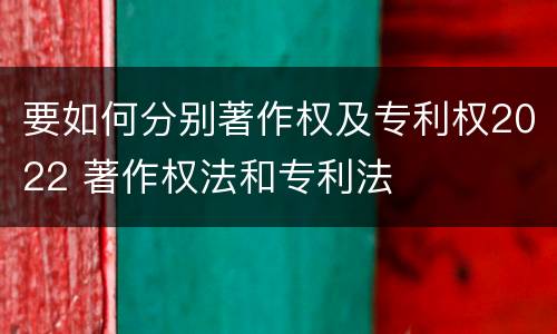 要如何分别著作权及专利权2022 著作权法和专利法