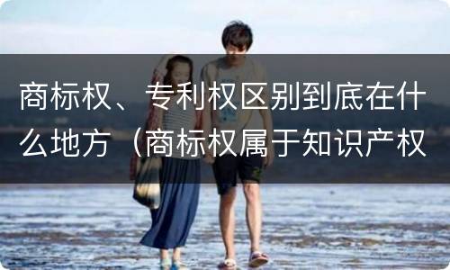 商标权、专利权区别到底在什么地方（商标权属于知识产权么）